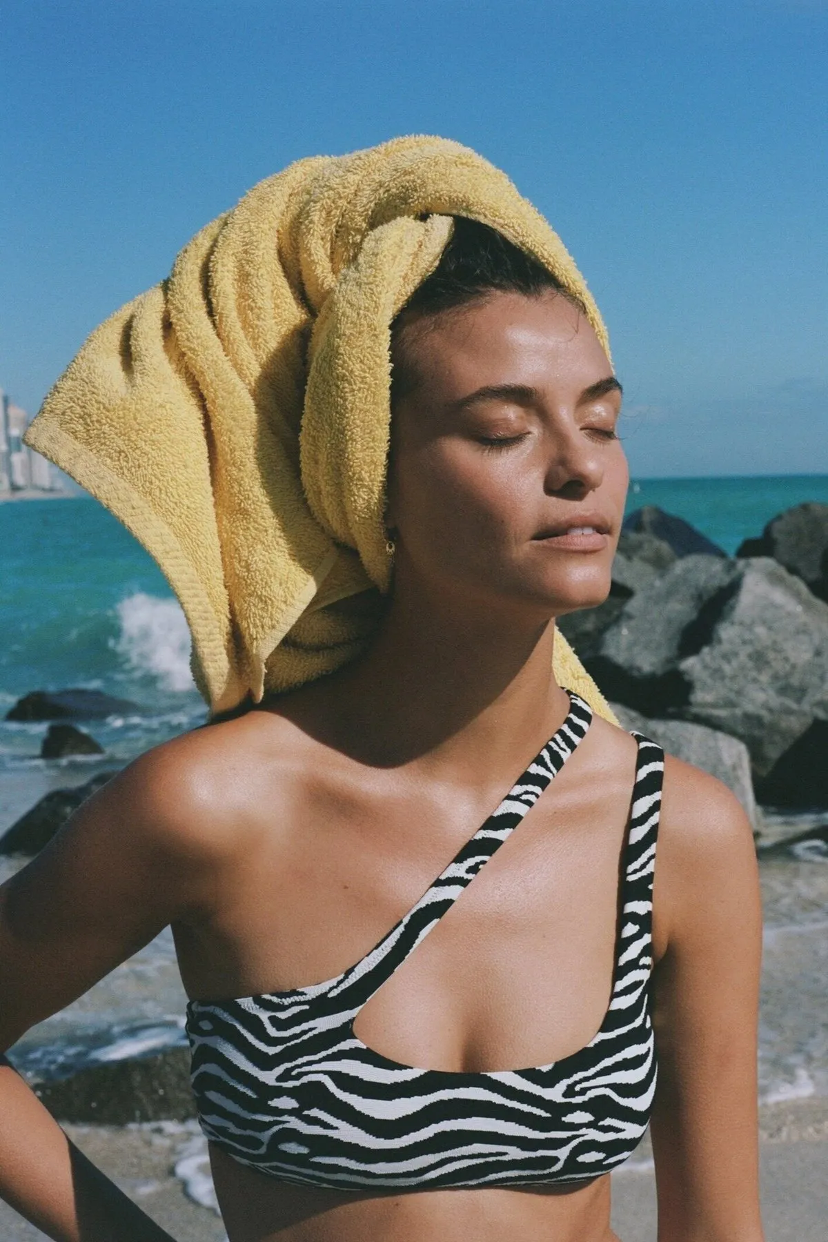 The Brody Bikini - Zebra Jacquard