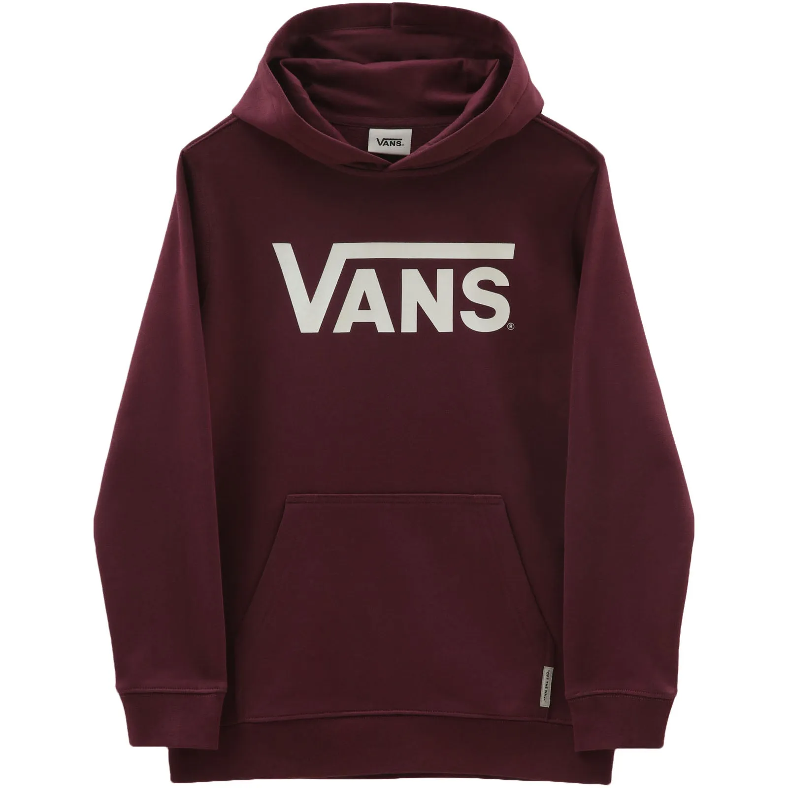 Vans Kids Classic Large Logo Hoodie